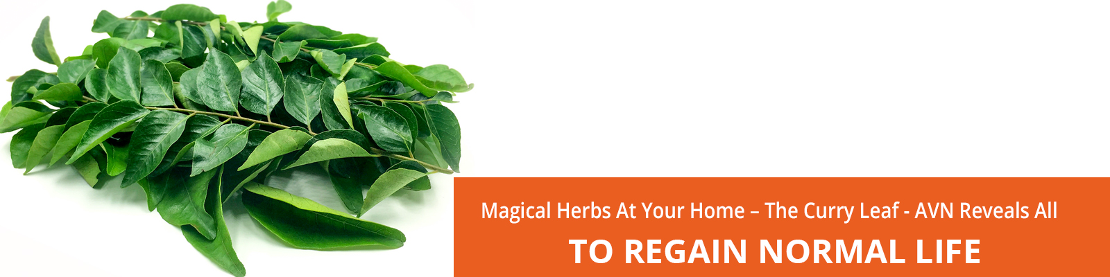 Magical Herbs At Your Home The Curry Leaf Avn Reveals All